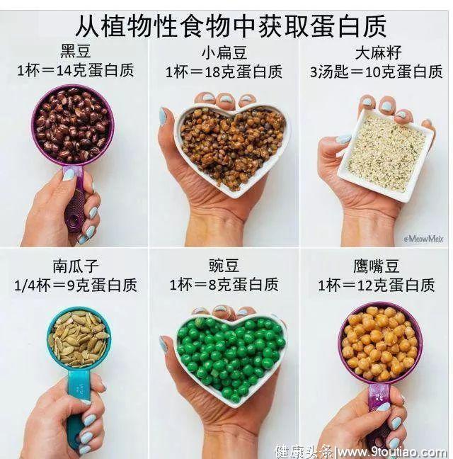 减脂期间，怎么吃？这几张科学数据图谱，让你一目了然