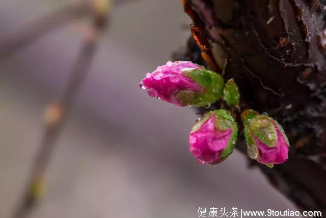 南怀瑾：春天的养生秘密