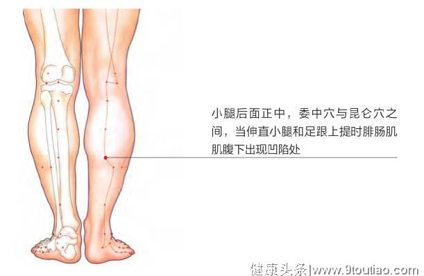 经络祛百病：3穴位治疗下肢痿痹、足跟痛