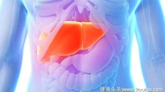 脂肪肝是中国第二大肝病，医生直言：多吃2种食物，让肝脏少受伤