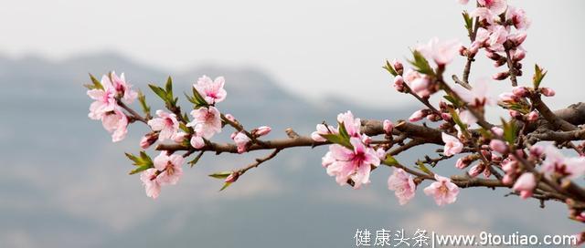 惊蛰日食疗正当时，补肝补阳补正气，老人小孩安心一整年！