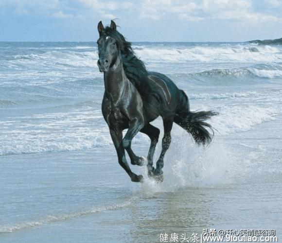 心理测试：4匹马，哪匹跑的最快？秒测出你最近会有什么喜事？