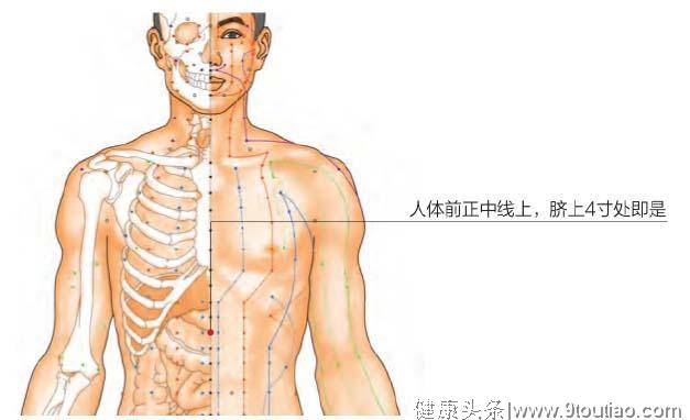 《腹部》肌肉拉伤、中医介绍3个穴位和4种食物，可有效缓解症状！