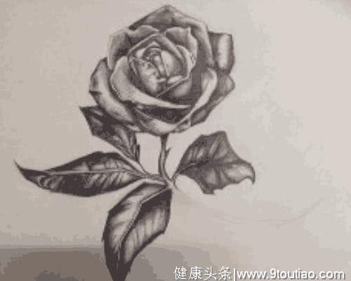 心理测试：哪朵玫瑰花画的最好看？测试你被人暗恋的机率有多大？