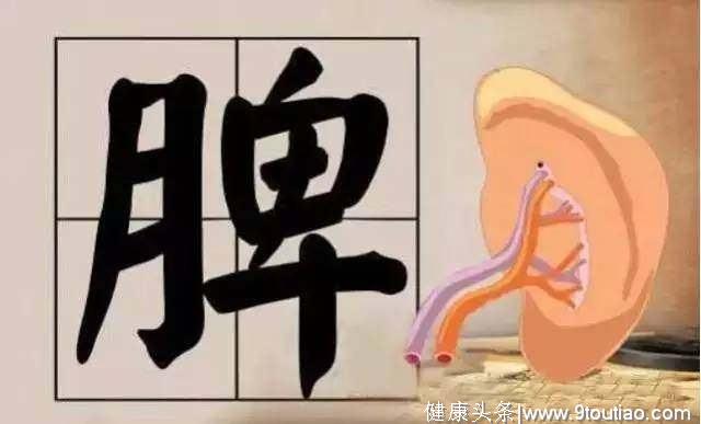 脾胃是化湿“大总管”！老中医公布：3个化湿大法，健脾祛湿！