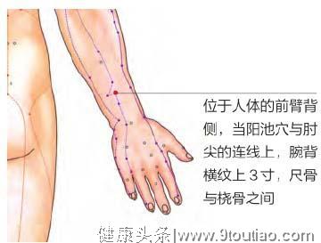 《网球肘》属于痹症的范畴，中医说3个穴位就可缓解！