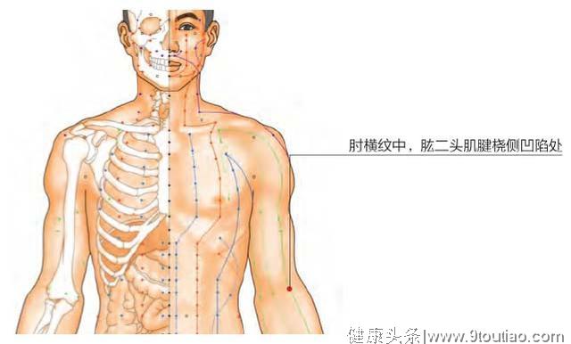 《网球肘》属于痹症的范畴，中医说3个穴位就可缓解！