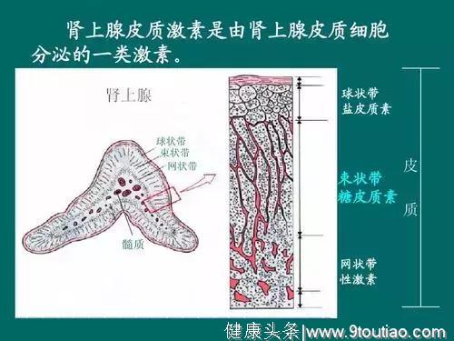 治疗白癜风不止激素这一项