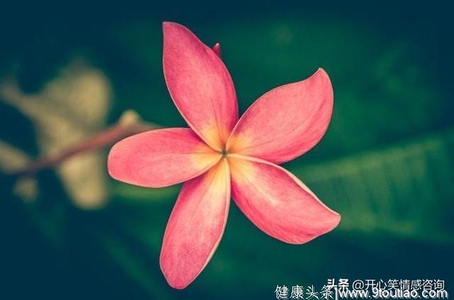 心理测试：4朵花，你最喜欢哪朵？秒测你即将会发生什么惊喜？