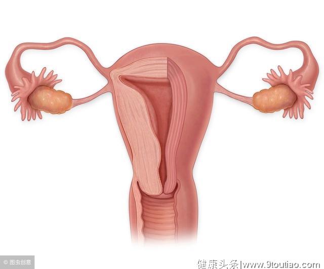 可以通过哪些状况来确定自身是否患有子宫脱垂