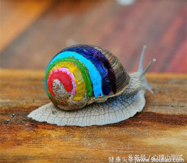 心理测试：你想藏在哪个蜗牛壳里，测你的隐藏性格是什么