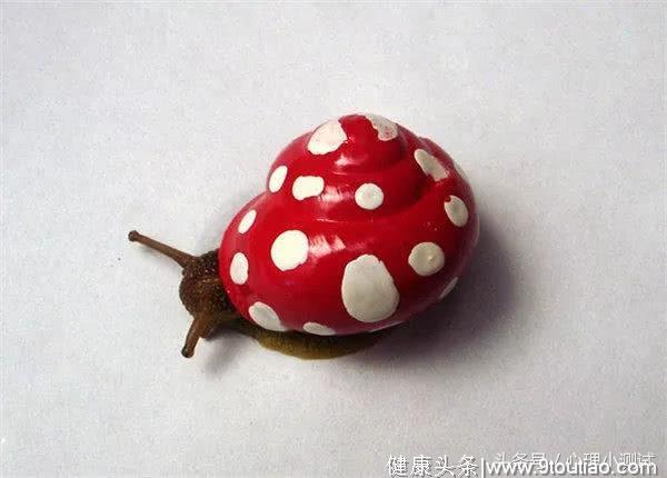 心理测试：你想藏在哪个蜗牛壳里，测你的隐藏性格是什么