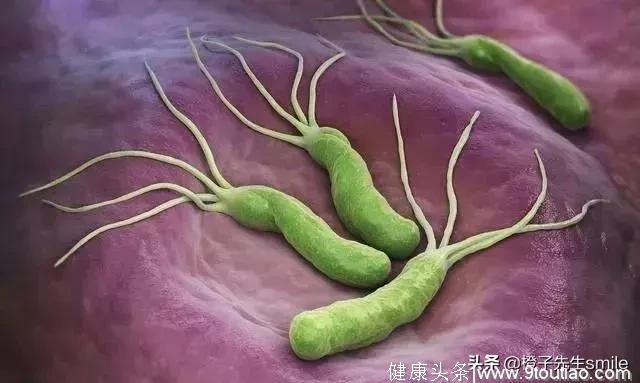 7亿中国人感染了这种细菌，胃癌是这样一步步找上你的