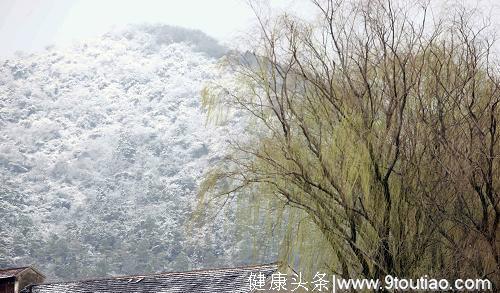 中医告你，惊蛰为什么不能受凉，不能吃梨，更不能吃安宫牛黄丸！