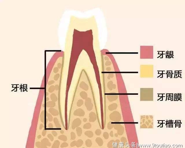 牙齿矫正会不会反弹？