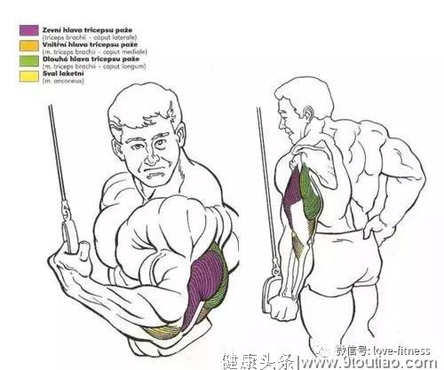 这块肌肉不加强，别说你的胸肌练不大！