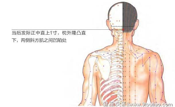 睡前5分钟按揉这3个穴位，消除疲劳，疏通经络、轻松改善颈椎病