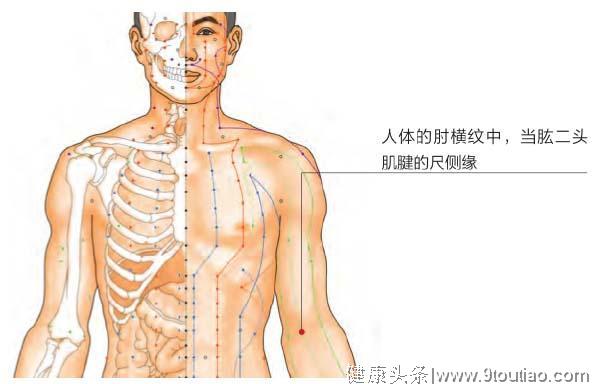 肘关节损伤：中医说3个穴位和4种食物，可缓解症状！