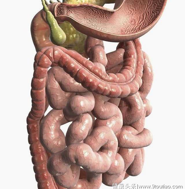 肠道病变时，身体会出现3多2痛，若1个不占，肠癌离你还很远！