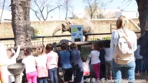 困在动物园，患抑郁症，世界上最孤独的大象去世了...
