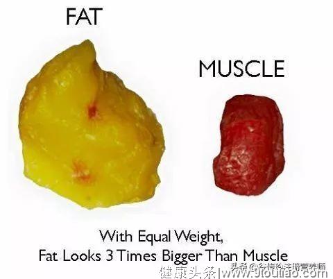 减肥减多少斤不重要，减脂肪不减肌肉最重要