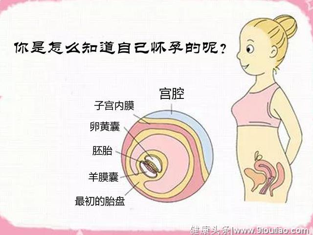 你是怎么知道自己怀孕了？身体有这些变化说明你怀孕了！要当妈了