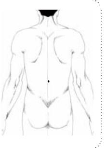 中医穴位养生：温补肾阳、强壮腰膝的命门穴
