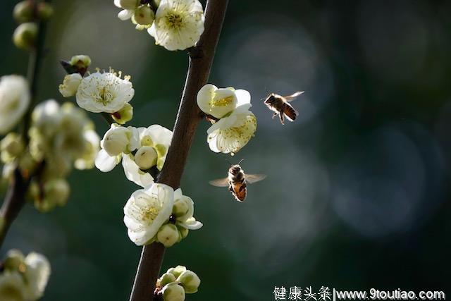 为什么道家认为病到一定的程度会让他去旅游？