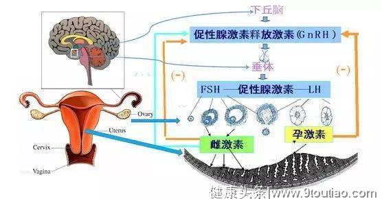 减肥导致大姨妈绝迹，减肥中这几件事最好不要做