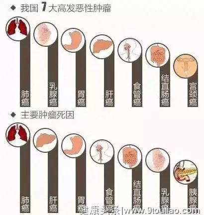 六大肿瘤专家​告知防癌的心得之谈！不用吃药，简单实用！