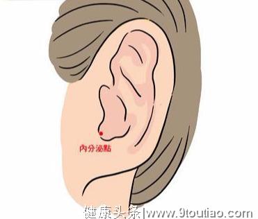 中医穴位养生：按摩耳朵5穴道，调整荷尔蒙、排毒又健脑