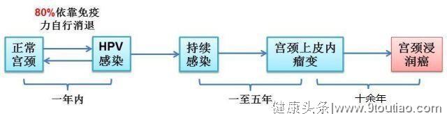 HPV疫苗不能代替宫颈癌筛查，这样做才保险！