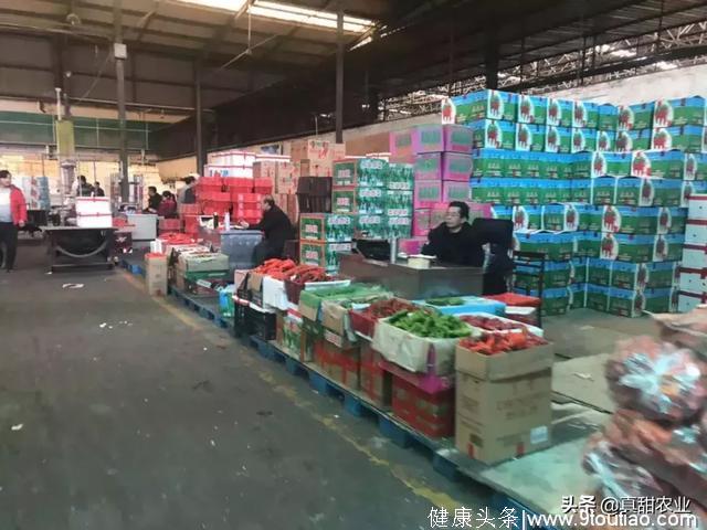 种什么菜得看市场需求，你知道华东地区老百姓最喜欢吃什么蔬菜吗