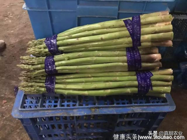 种什么菜得看市场需求，你知道华东地区老百姓最喜欢吃什么蔬菜吗