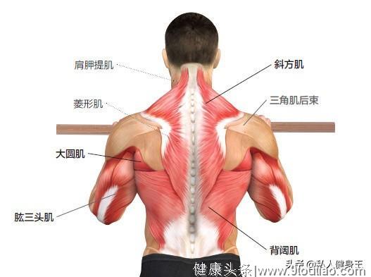 只练胸不练背，会导致含胸驼背，五个背部训练动作，预防驼背