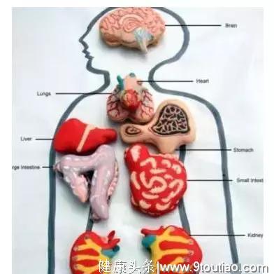 院士公布人体癌症地图：你身上，这12个器官最易患癌