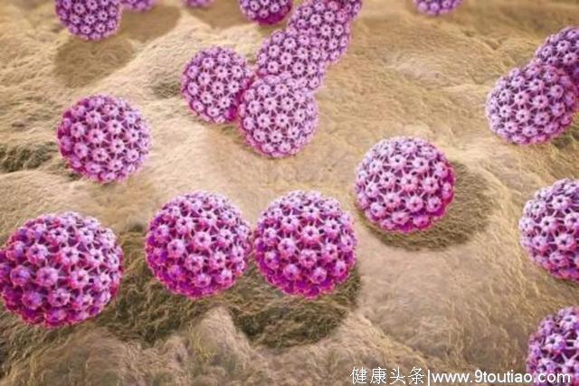 6岁男孩感染HPV 男性也要打宫颈癌疫苗？医生权威说法来了