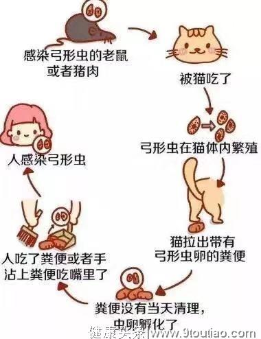 怀孕了，家里可以养猫吗？孕妈妈养猫需要注意哪些事项？