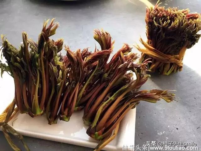 春天食疗养生，吃这四种野菜，能预防多种疾病！