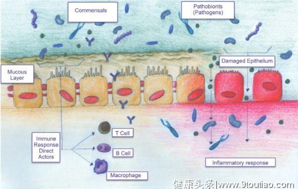 鼻窦炎是怎么回事？鼻窦炎=鼻炎？