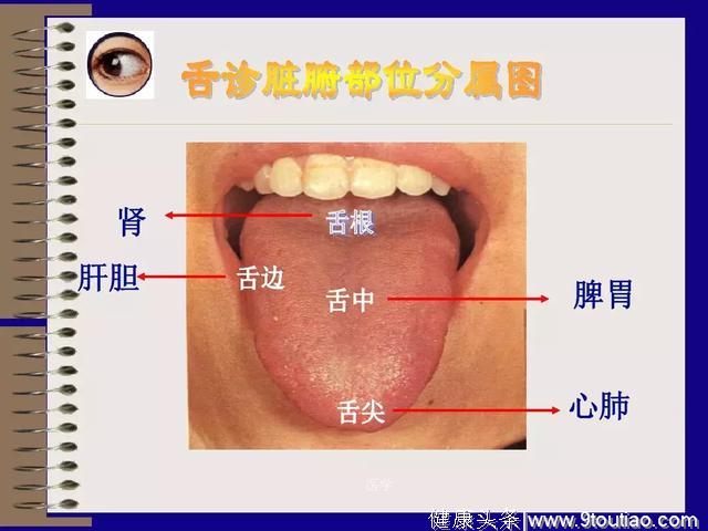 中医基础理论—四诊（图文并茂）