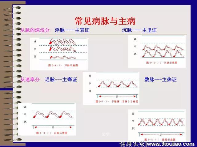 中医基础理论—四诊（图文并茂）