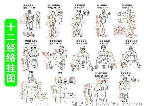 人体经络速记口诀，身体的各个穴位，中医经典