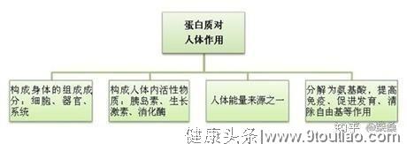 减肥就要少吃点？减肥时不注意这一点，减多少斤最后都会胖回去！