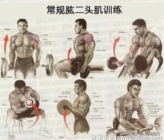 全身常规训练7张图，让你健身不瞎练，全面塑造全身各肌群