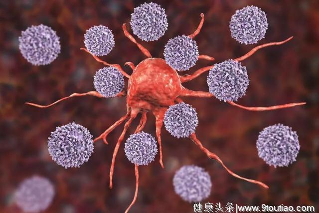研究新发现：衰退的免疫系统才是癌症的主要原因！