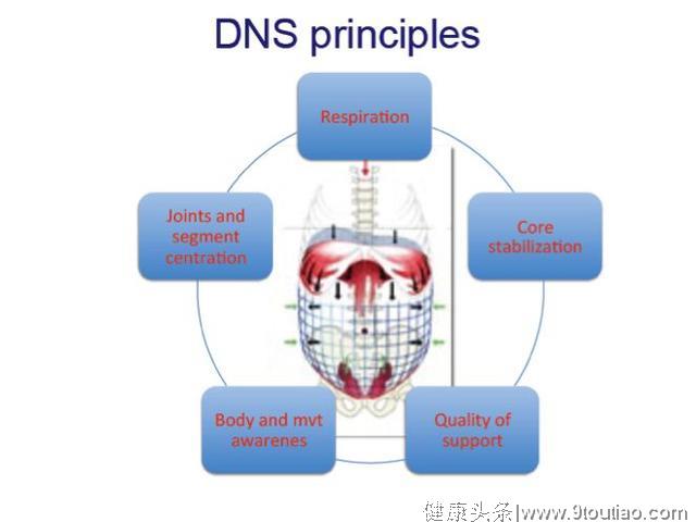 与生俱来的天赋异禀——神奇的DNS神经肌肉稳定术