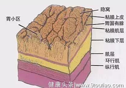 为什么胃癌不放过中国人？这2个原因一定要注意