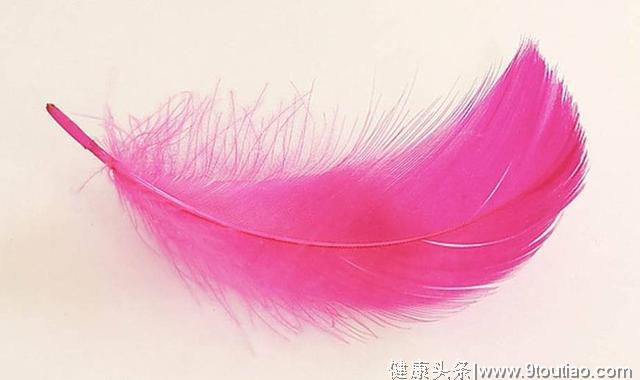 阿薇塔罗——来测试下你是个啥样性格的人选4片羽毛哪一片最漂亮
