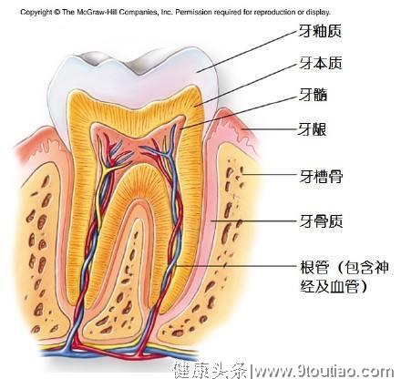 乳牙的根管治疗